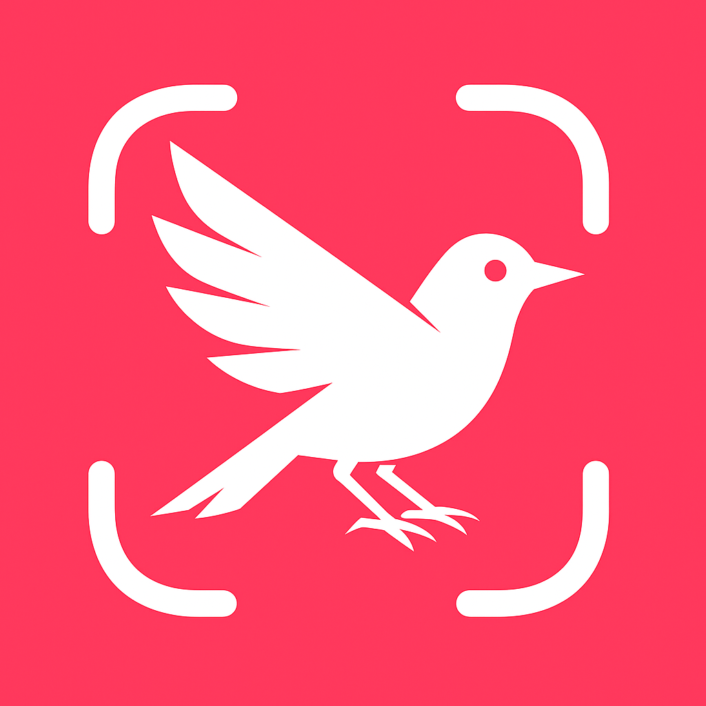 Bird Identifier